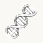 DNA helix illustration